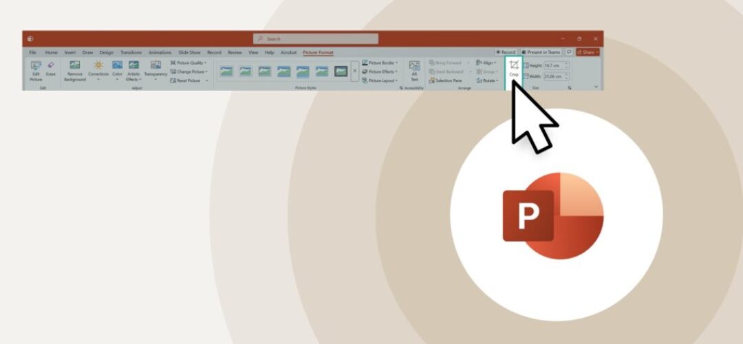 how-crop-images-and-objects-in-powerpoint How to crop images in PowerPoint and why it matters more than you think