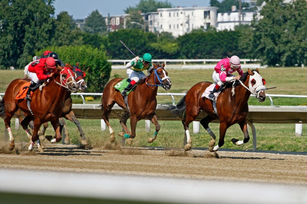 Close finish at horse race representing the competitive edge startups seek by partnering with presentation consulting firms for investor pitch decks.